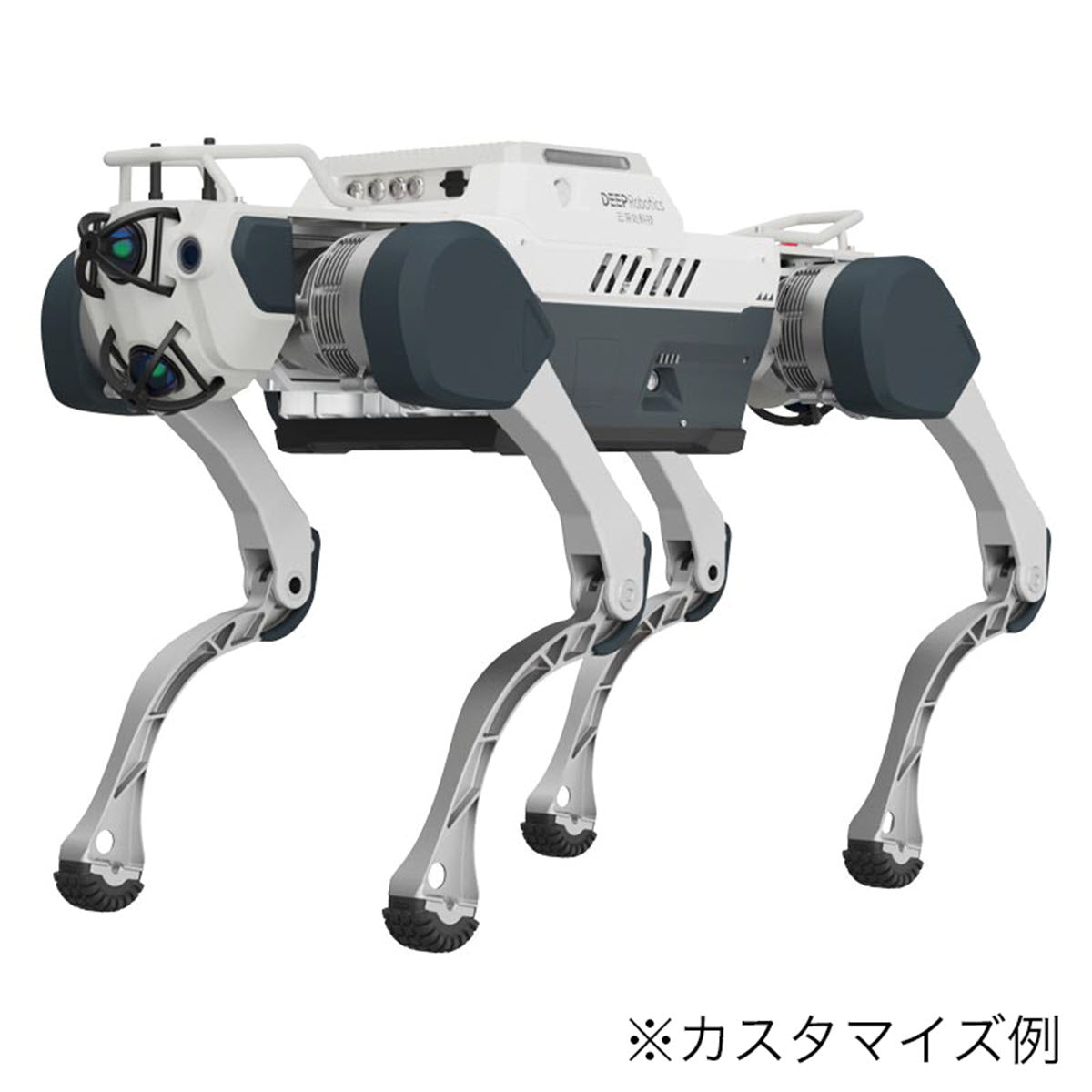 四足歩行ロボット - DEEP Robotics X30 Pro