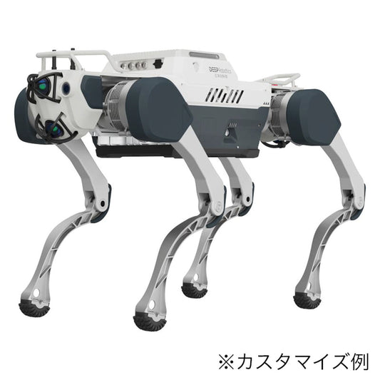 四足歩行ロボット - DEEP Robotics X30 Pro